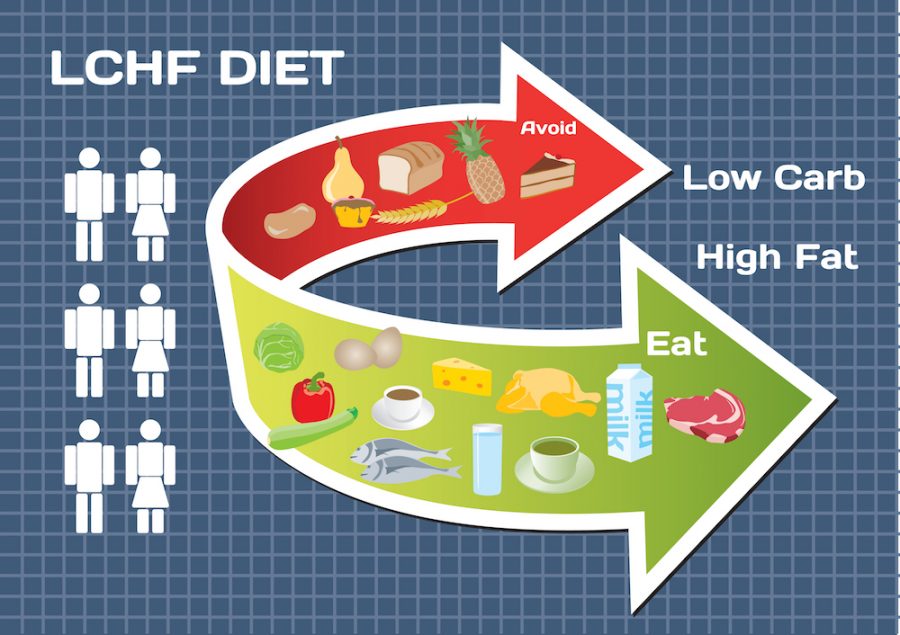 the best diet for weight loss and health, LCHF diet trend, low carb high fat