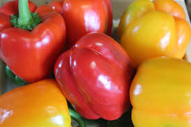 organic assorted colored peppers