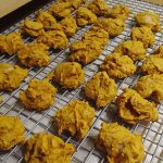 Grain Free Pumpkin Cookies